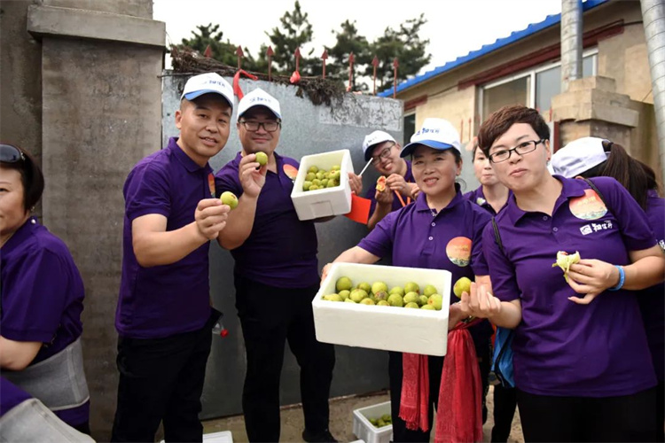 1697610986467772.jpg 94.jpg