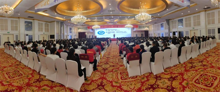 1730256500499741.jpg 6.jpg