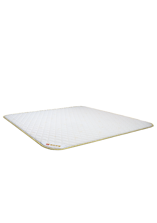 1730773236581442.png 健康磁性多功能床墊~1.png