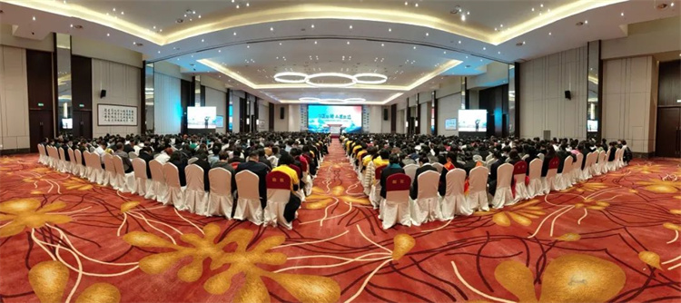 1737081971876679.jpg 1.jpg