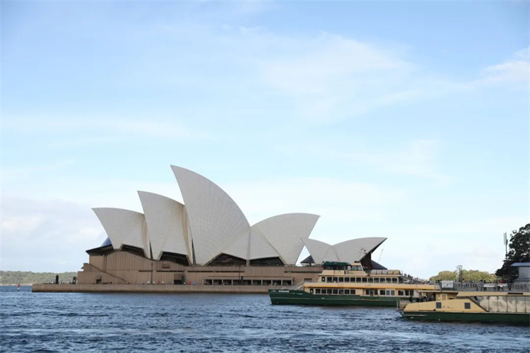 1742539980305589.jpg 18.jpg