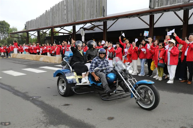 1742540302656902.jpg 33.jpg