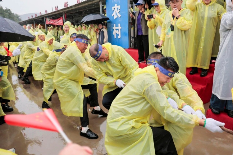 1761545180821944.jpg 164.jpg