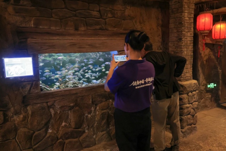 1761545320435065.jpg 179.jpg